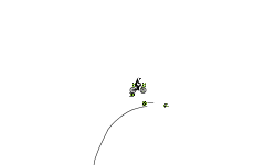 auto end