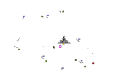 auto.......................