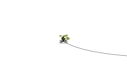 Close Call!