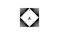 Illusion #5