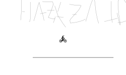 HAMZAZAIDI
