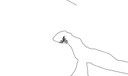 the cave