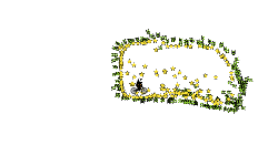 500 Stars