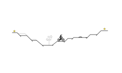 First Place gets Track Code!