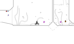 Water Life 4