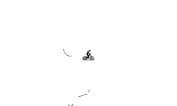 auto use any bike