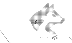 Wolf Level 3#
