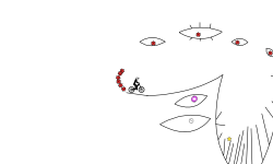 The eye