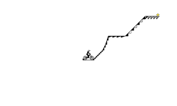Zoom Zoom
