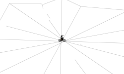 spider man