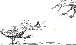 birds sketch