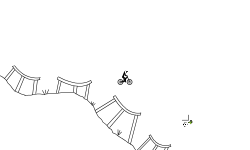 Downhill Wheelie