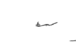 Dirt Jumps