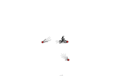 Shooting Stars (Desc)