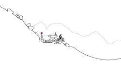 Mole Hills