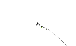 Mountain Downhill Rush
