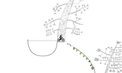 Nature track 2
