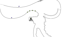 Sneak Peek (desc)