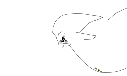 hard track
