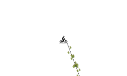 The drop