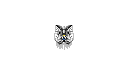 Owl White(Continue animals?)
