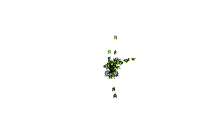 7.6 No touch map
