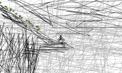 Scribble Land