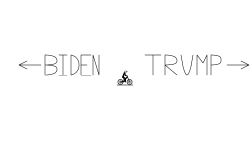 Your election opinion [DESC]