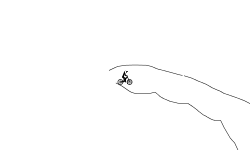 Wheelie