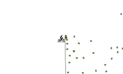 Helicopter