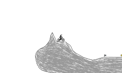 This is my first not my last