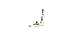 ghjgychgighj