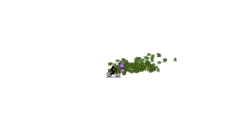 Random stuff