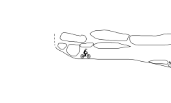 Track Ideas