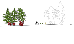 forest track