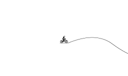 The race