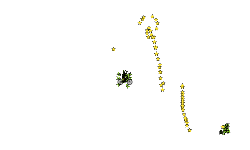 1001 stars