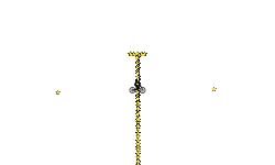 1600 Stars