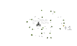Ninja Auto