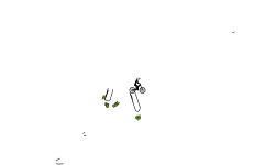 Brush