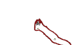 1 hour auto PREVIEW