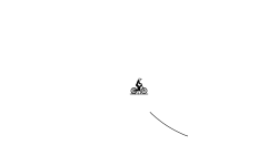 what a wonderful wheelie
