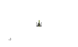 Stunts (auto)