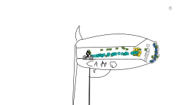 CANO