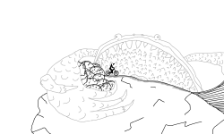 You've broken the eggs