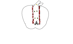 Apple in suspenders?