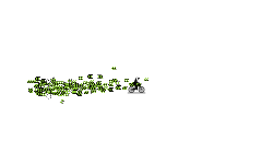 glitch