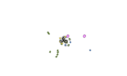 spinny