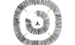 eye of spikes