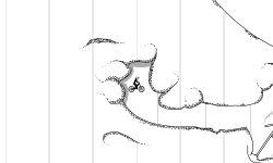 canyon with lines